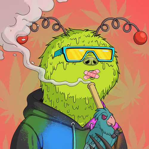 Every Time High