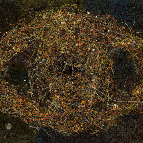 String Theory 5