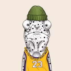 29
