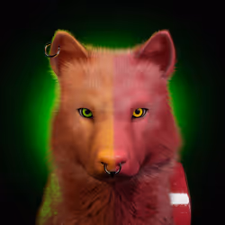 Wolf #701