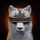 Wolf #869