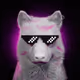 Wolf #729