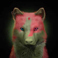 Wolf #1195