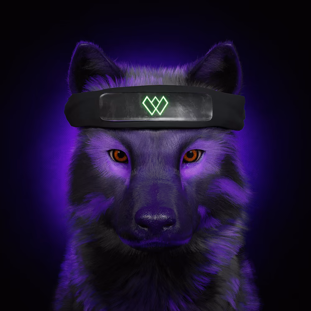 Wolf #3263