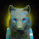80588207620873129132653712756782221252312719001516389631364635466559801952620