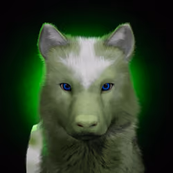 Wolf #991