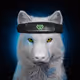 18861804407030218031101125309254570855413736247250569414465401093193600581482
