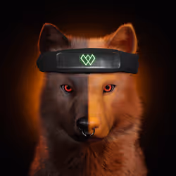 Wolf #1823