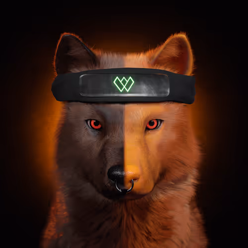 Wolf #1823