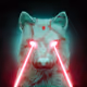 Wolf #2675