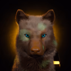 Wolf #2488