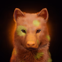Wolf #2207
