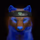 Wolf #733