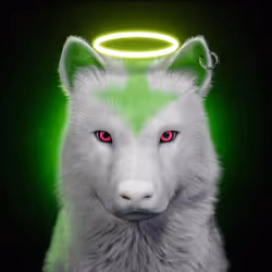 Wolf #1347