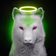Wolf #1347