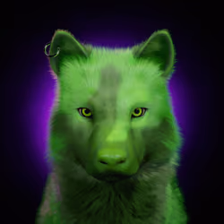 Wolf #918