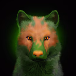 Wolf #791