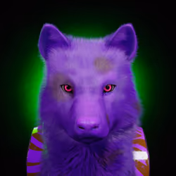 Wolf #646