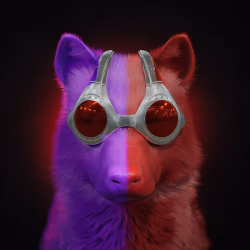 Wolf #1264