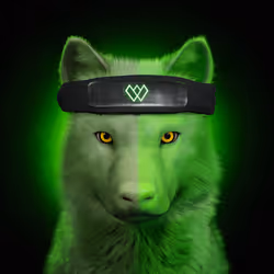 56591300313287456771198652463936036178609337188482655499570464619910659790779