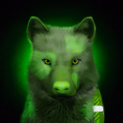 Wolf #2376