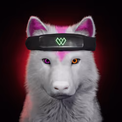 Wolf #2191