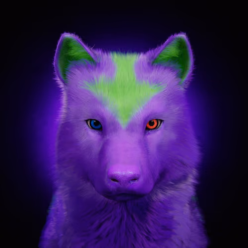 Wolf #771