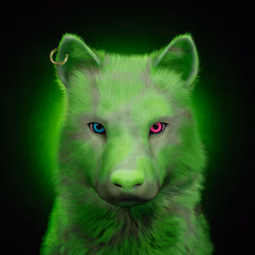 Wolf #1503