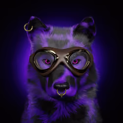Wolf #1011