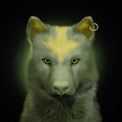 Wolf #2567