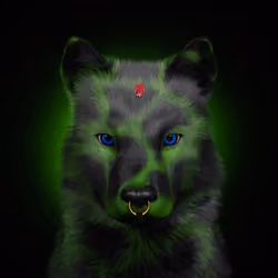Wolf #1029