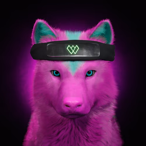 Wolf #712