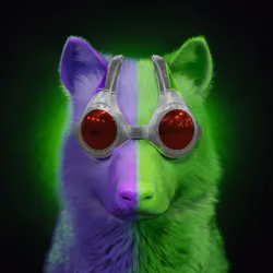 Wolf #731