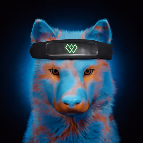 Item #94753801858903806655029567486245864515992843306441348574226391732758451793004 Media