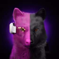 38231432985367124663015611386719242170997818866604440164536383922741215307518