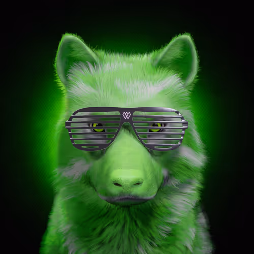 Wolf #636
