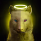 Wolf #3170