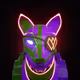 Wolf #730