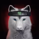 Wolf #2364