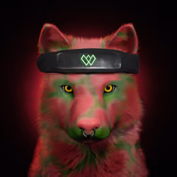 Wolf #664