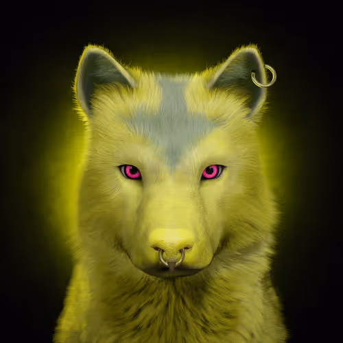 Wolf #1582
