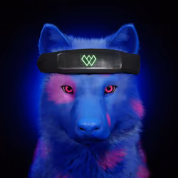 Wolf #2210