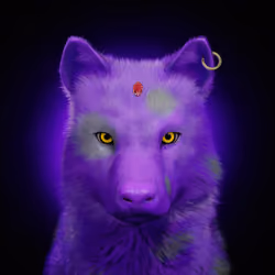 Wolf #788