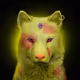 Wolf #1233