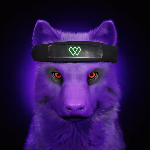 Wolf #2704