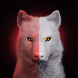 Wolf #625