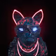 Wolf #2264