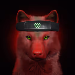 Wolf #1451