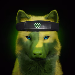 Wolf #2298