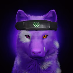 Wolf #2799